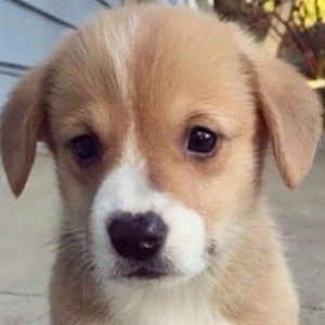 Meet your Posher, Marcy